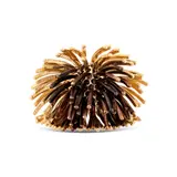 HEDGEHOG YÜZÜK 2