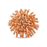 HEDGEHOG YÜZÜK 2
